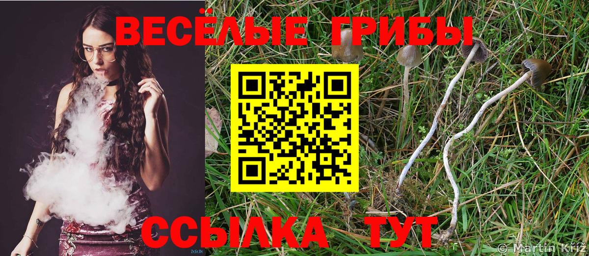 Псилоцибиновые грибы Psilocybe  Вход с VPN  Верхняя Пышма 